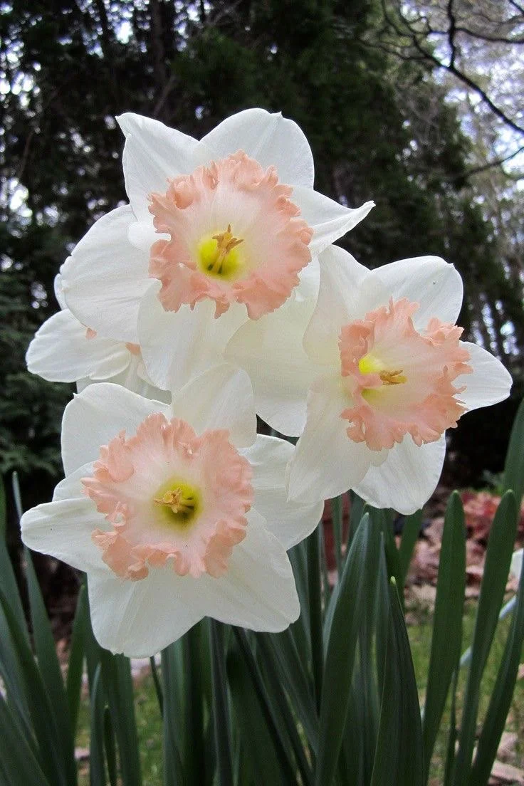 BUGÜN GÜNLERDEN PEMBE